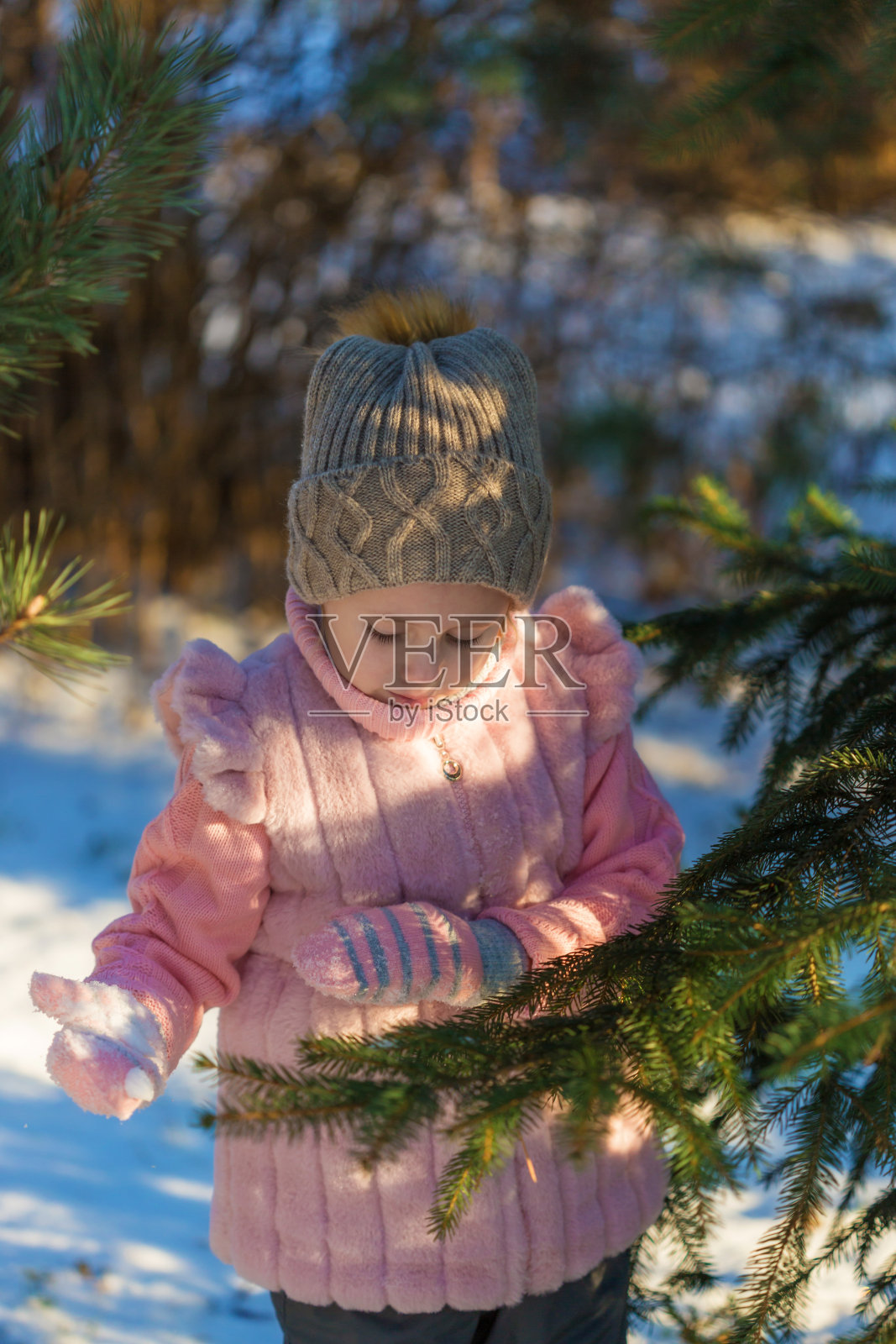 可爱的女孩在冬天的森林里玩松树。快乐的童年。孩子们在户外。冬季欢乐假期概念照片摄影图片