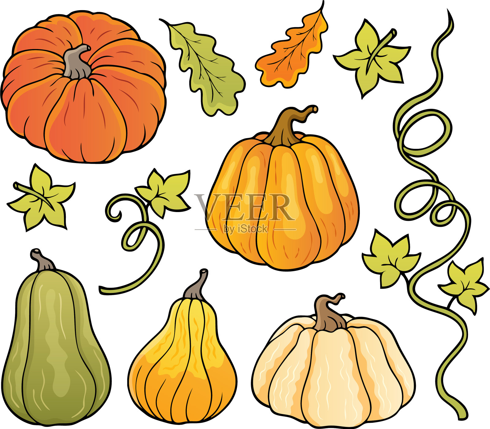 南瓜主题系列1插画图片素材