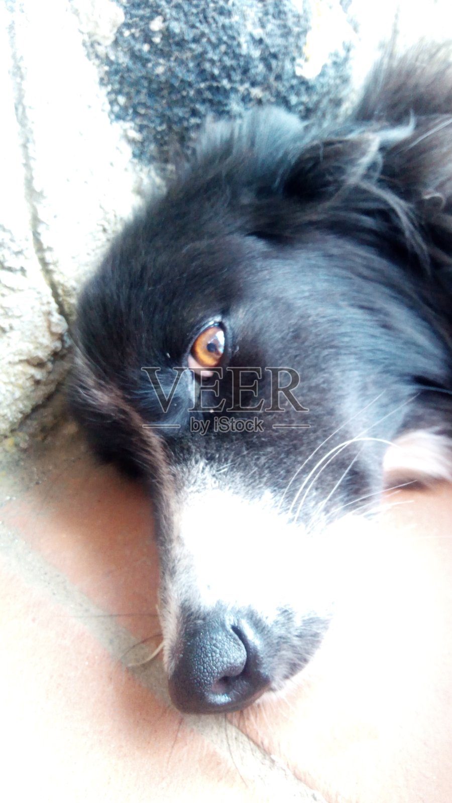 我在看你照片摄影图片