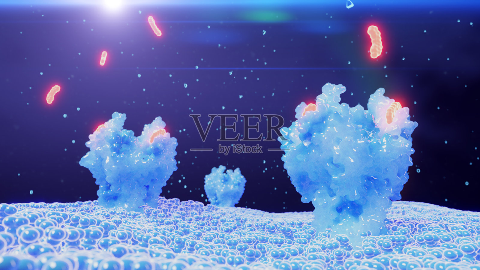 药物与细胞表面受体结合照片摄影图片