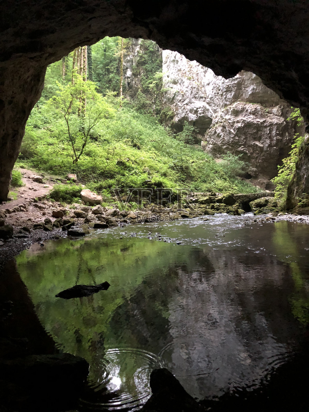 斯洛文尼亚Cerknica - Notranjska地区公园,Rak河峡谷的石灰岩岩洞(Krajinski Park Rakov Škocjan,斯洛文尼亚)照片摄影图片