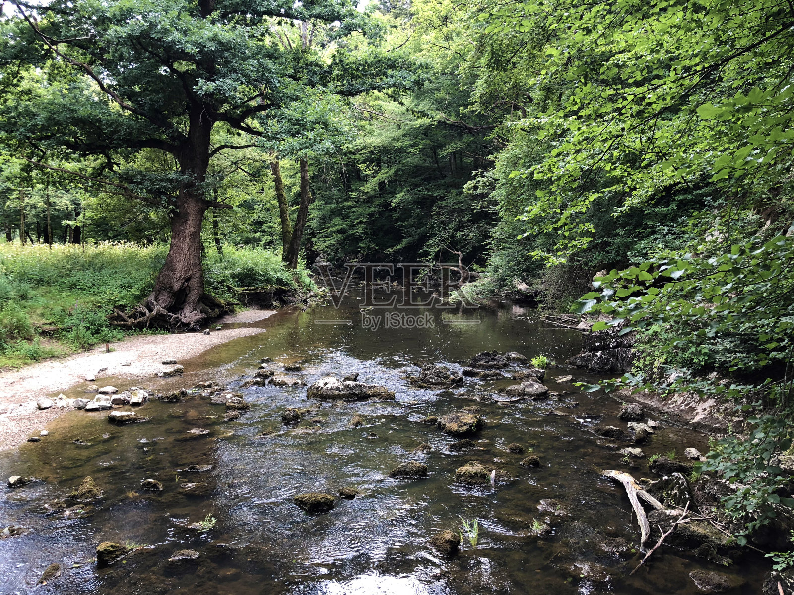 斯洛文尼亚Cerknica Notranjska地区公园(Krajinski Park Rakov Škocjan,斯洛维尼亚),Rak河的河床有峡谷和石灰岩。照片摄影图片
