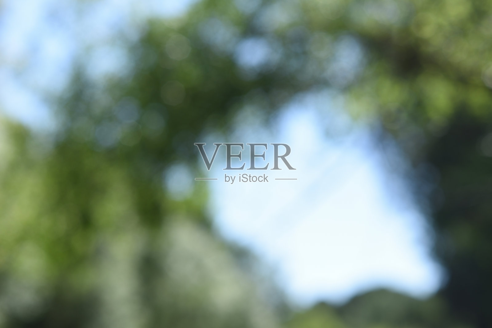 天空与树木在前厅以模糊的视觉为拷贝空间照片摄影图片