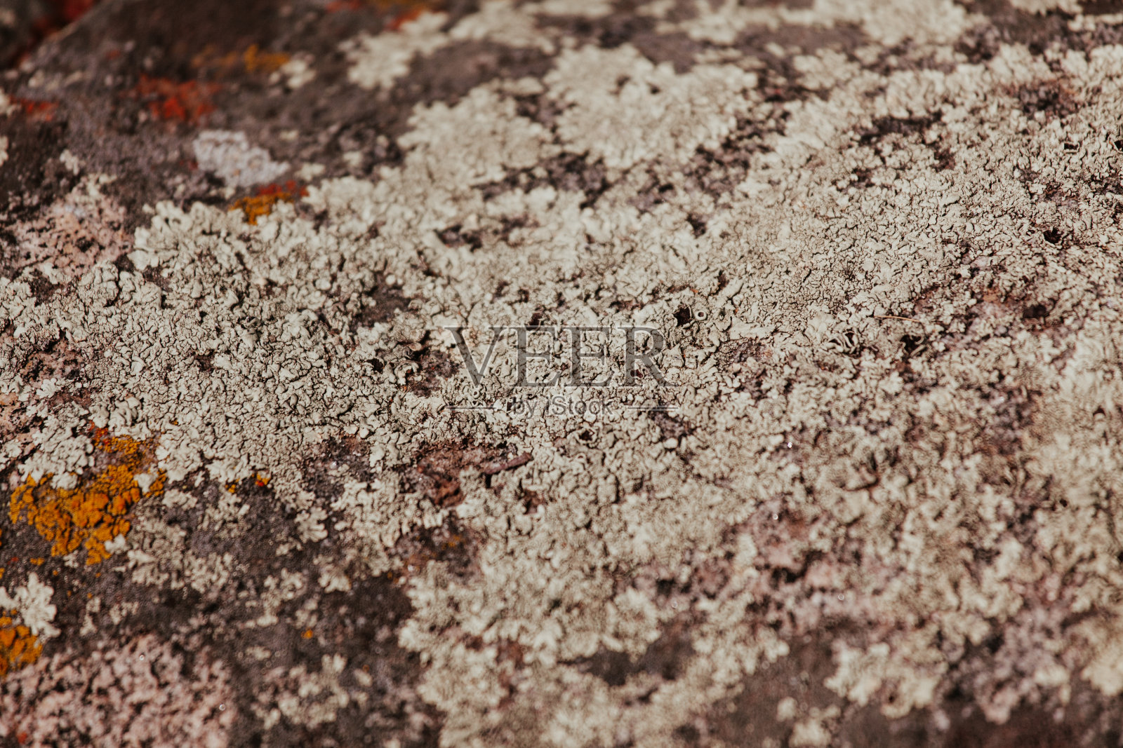 红色、黄色和白色的霉菌在灰色的老岩石上。自然背景纹理。照片摄影图片