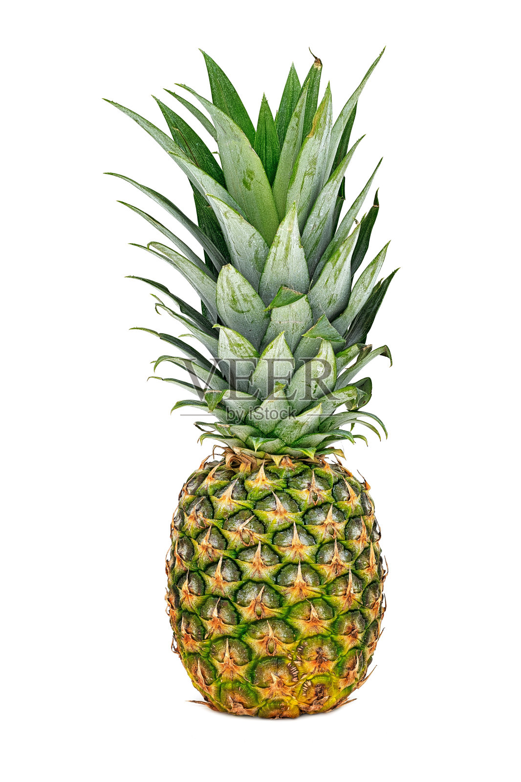 菠萝照片摄影图片