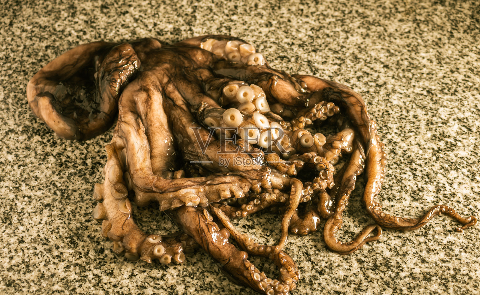 花岗岩台面上的小生章鱼照片摄影图片