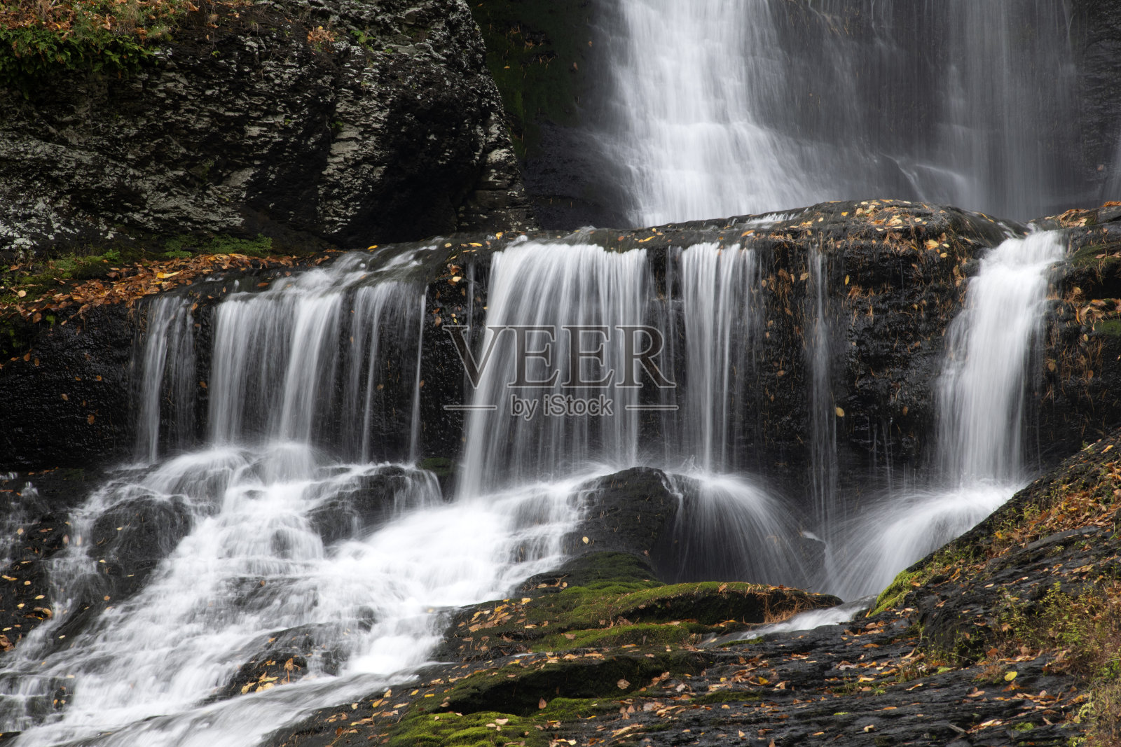丁曼秋天照片摄影图片