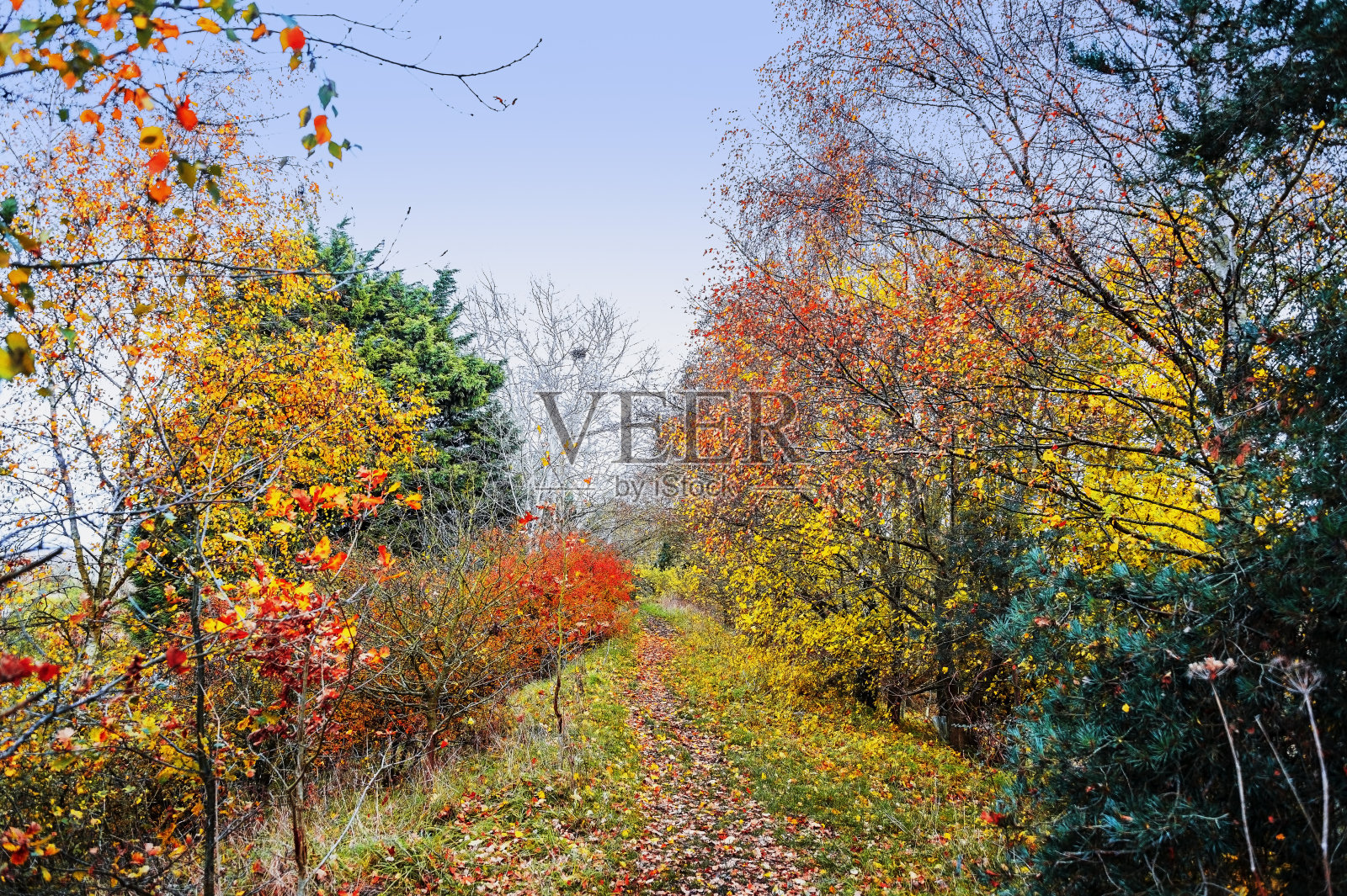 步行小径秋秋自然户外景观环境优美照片摄影图片