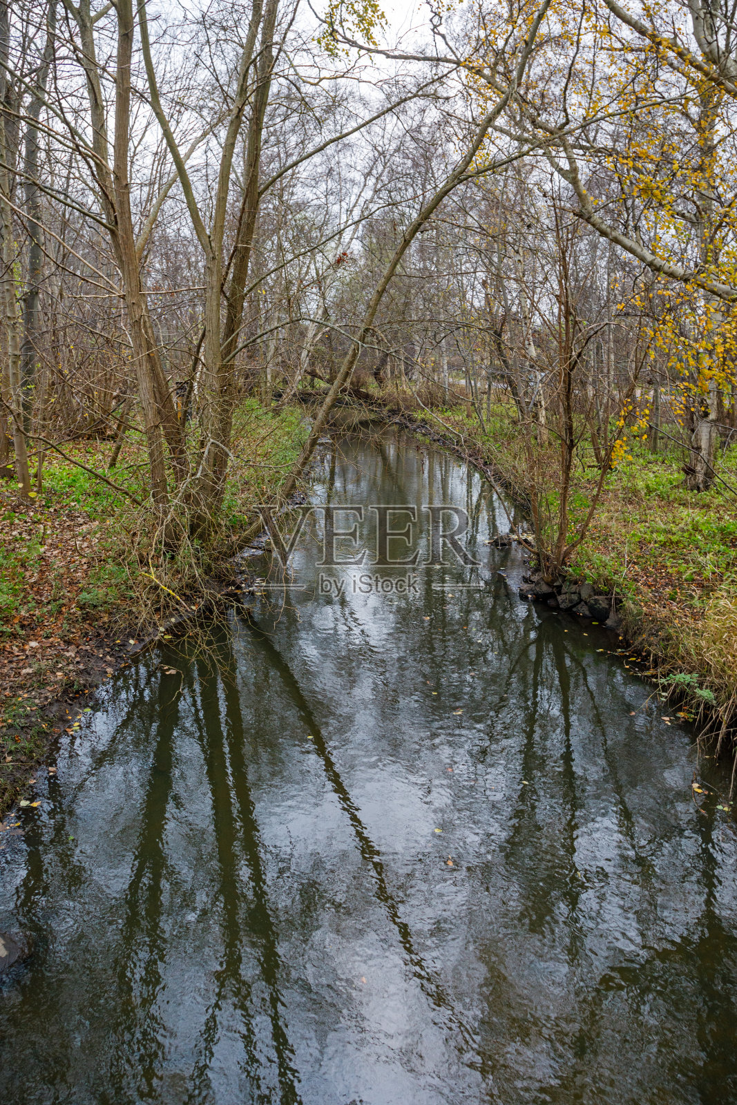 冬天公园里的小溪照片摄影图片