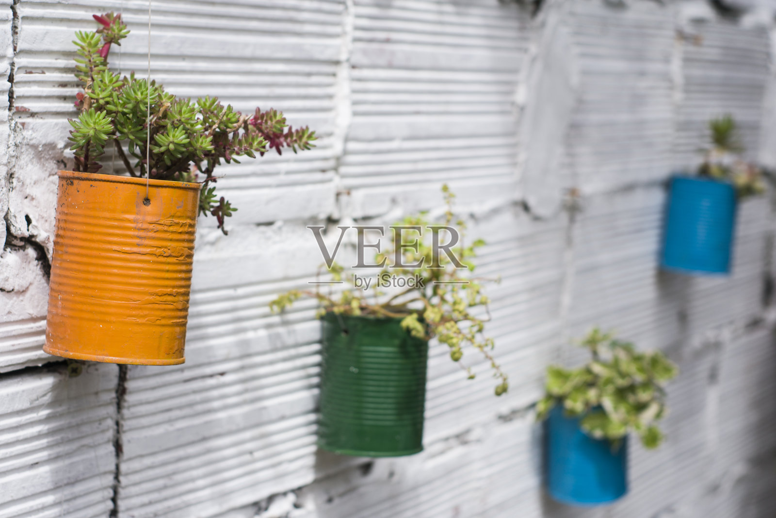 装饰油漆罐与植物在白色油漆墙上。照片摄影图片