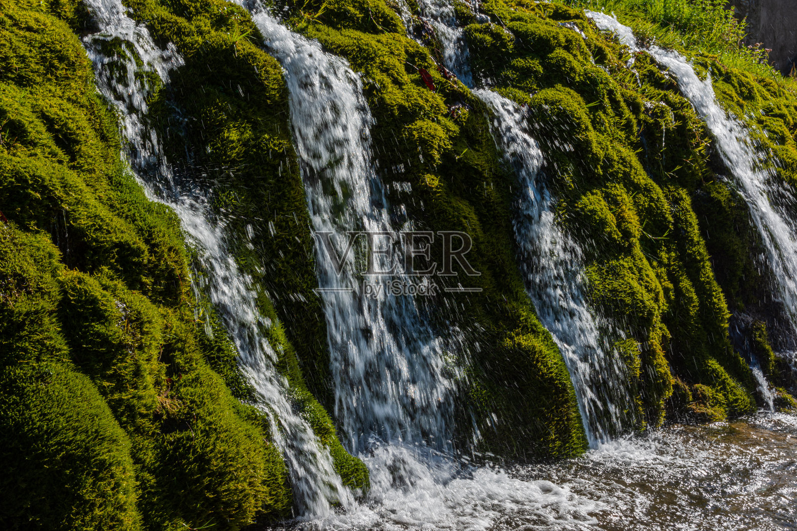 圣玛丽亚·德尔·莫利西,穆里尼公园照片摄影图片