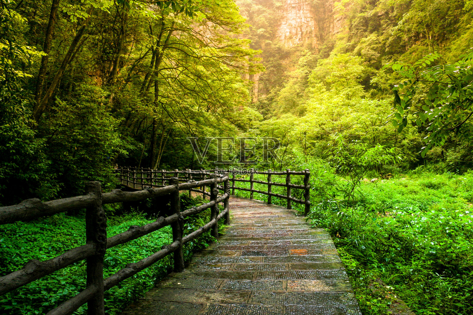 张家界国家森林公园金鞭溪小径照片摄影图片