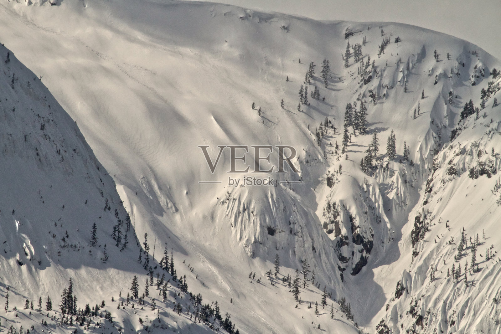 不列颠哥伦比亚省的雪山山峰照片摄影图片