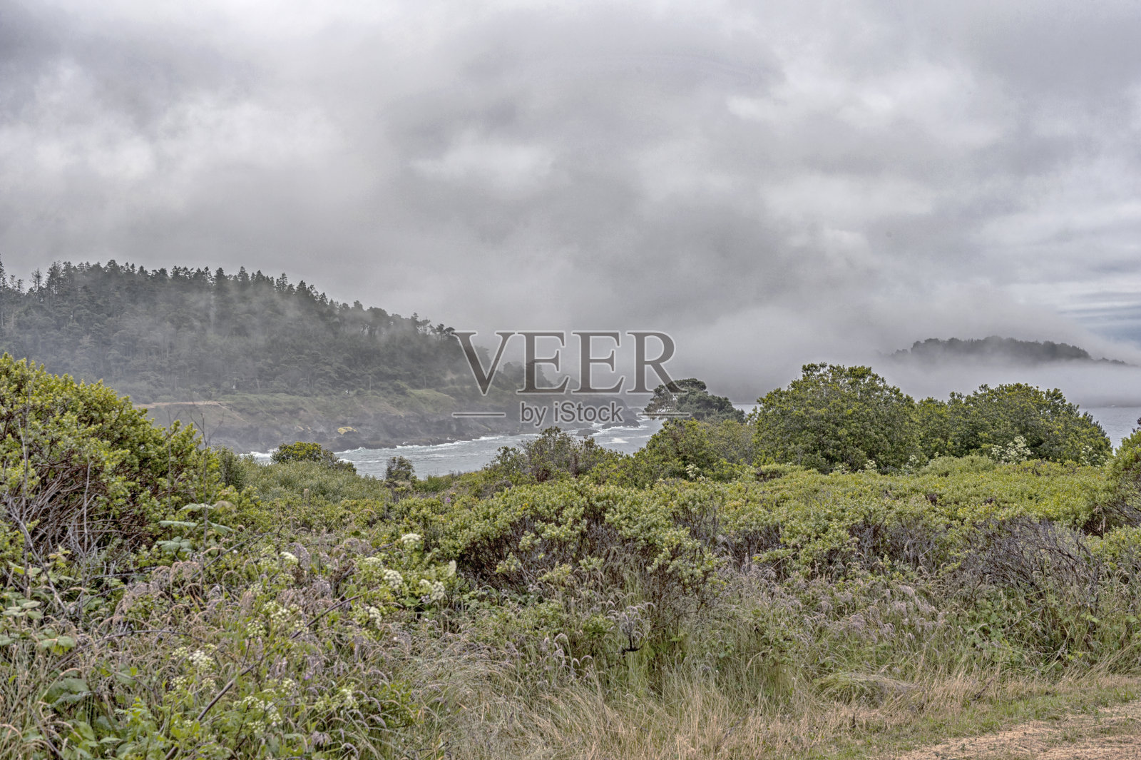 有雾的布拉格堡海岸线照片摄影图片