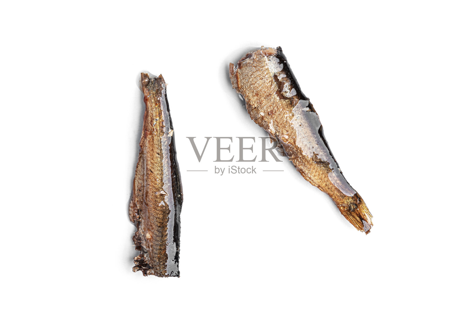 在白色背景上孤立的小虾照片摄影图片