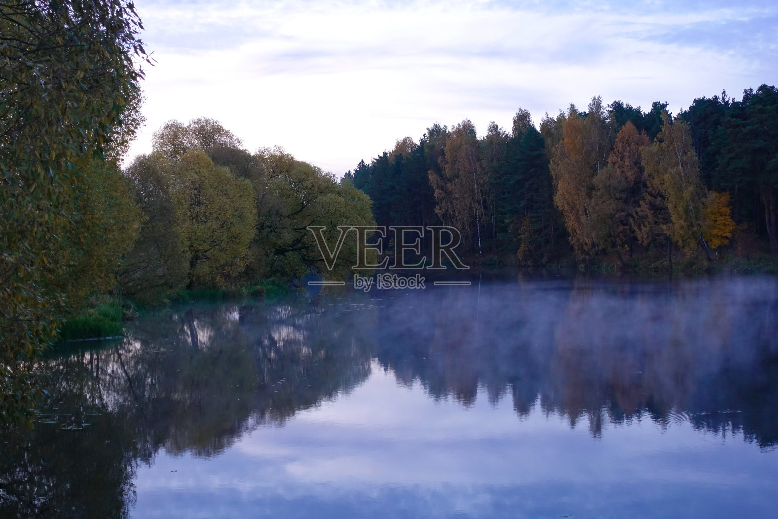 清晨在湖上。雾笼罩着湖面。森林湖在平静的天气。照片摄影图片