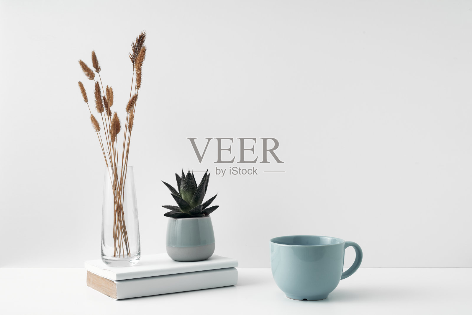 一个杯子和一个盆花,一个透明的花瓶,白色的背景。室内装饰采用环保材料,极简主义。复制空间,模拟照片摄影图片