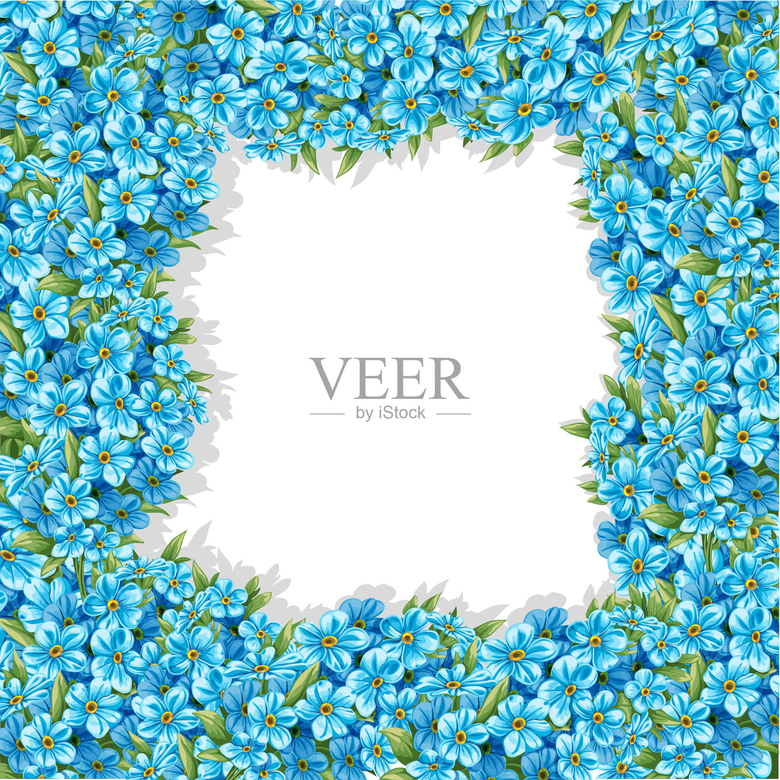 春天的勿忘我在白色的背景上镶边插画图片素材