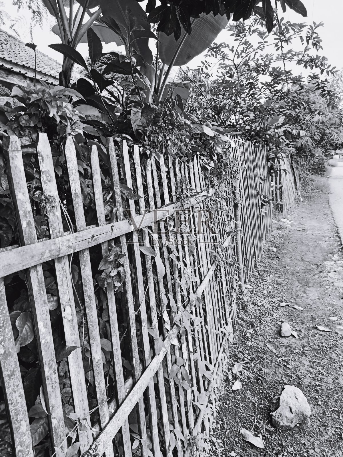 栅栏照片摄影图片