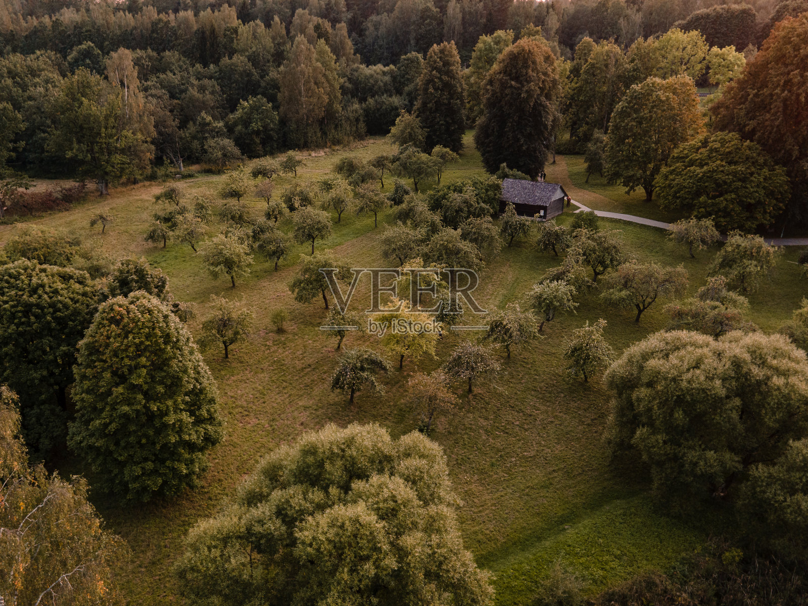 古老的木屋和苹果园环绕着俄罗斯的自然环境照片摄影图片
