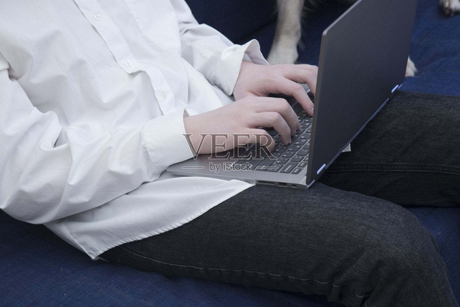 狗和笔记本照片摄影图片