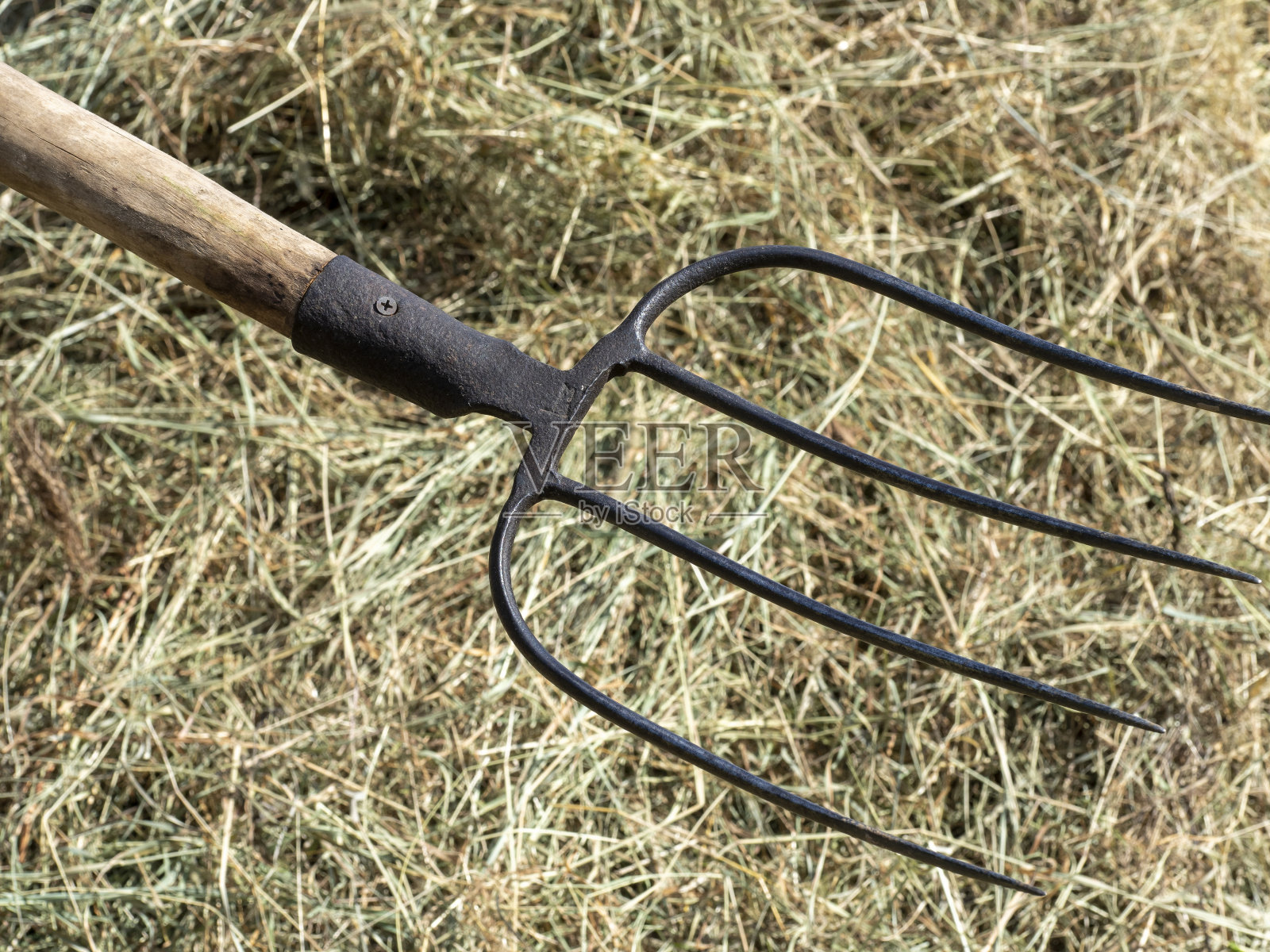 干草叉的特写。农具用于农业的工具照片摄影图片