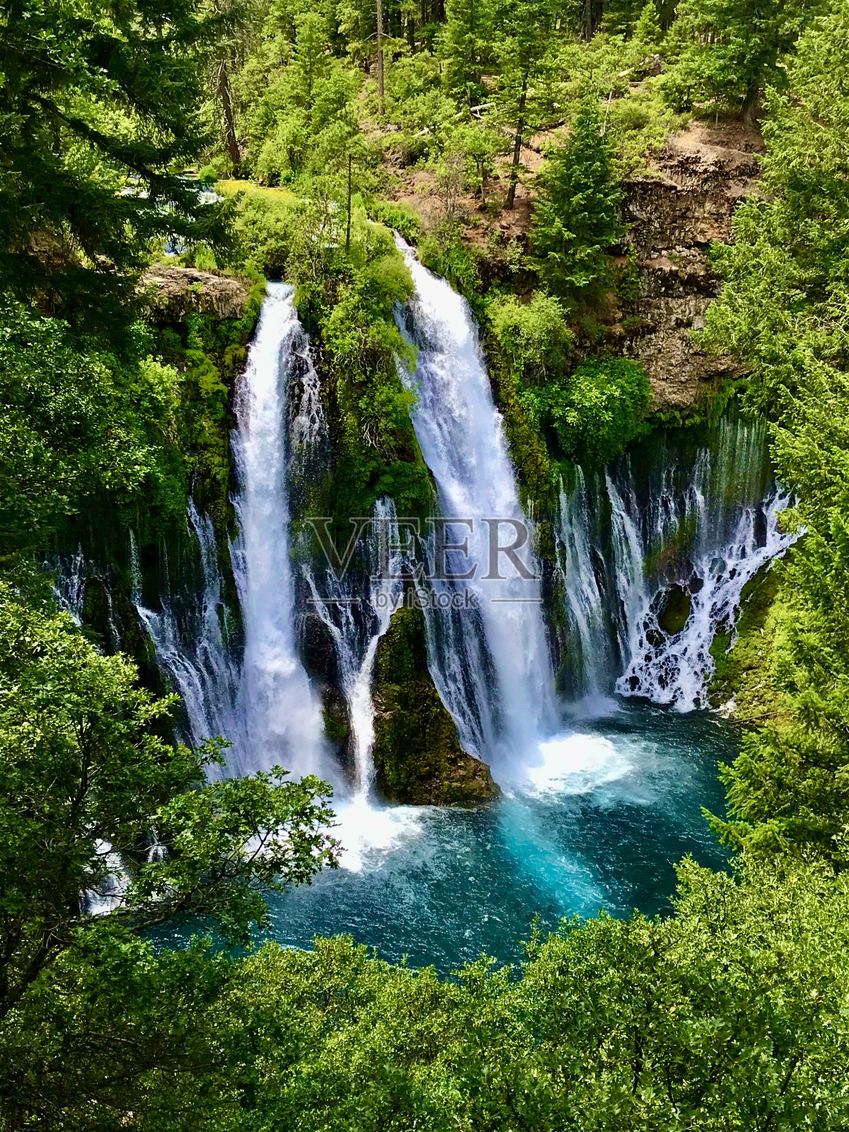 森林里的伯尼瀑布照片摄影图片