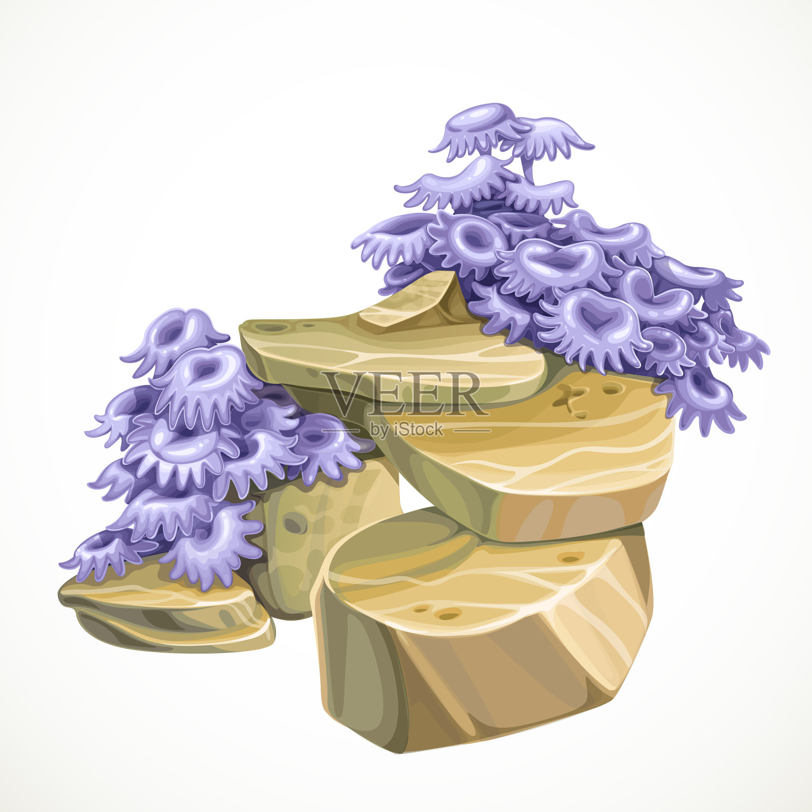 带海葵的砂岩用于水族馆装饰插画图片素材