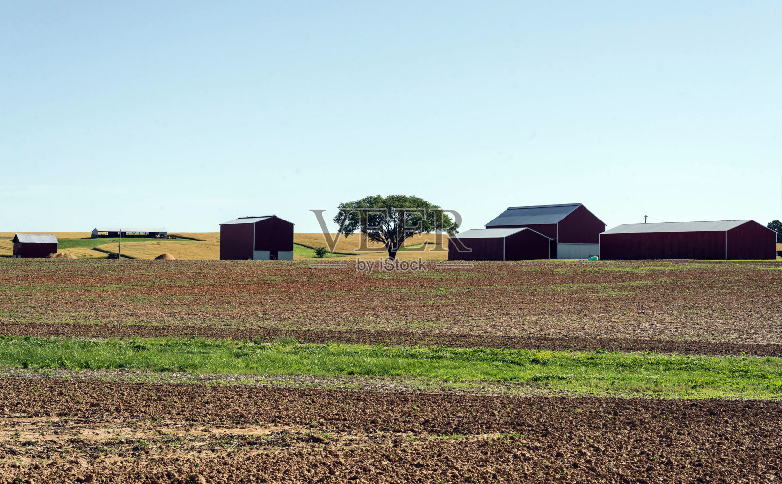 TN的农场场景和附属建筑照片摄影图片