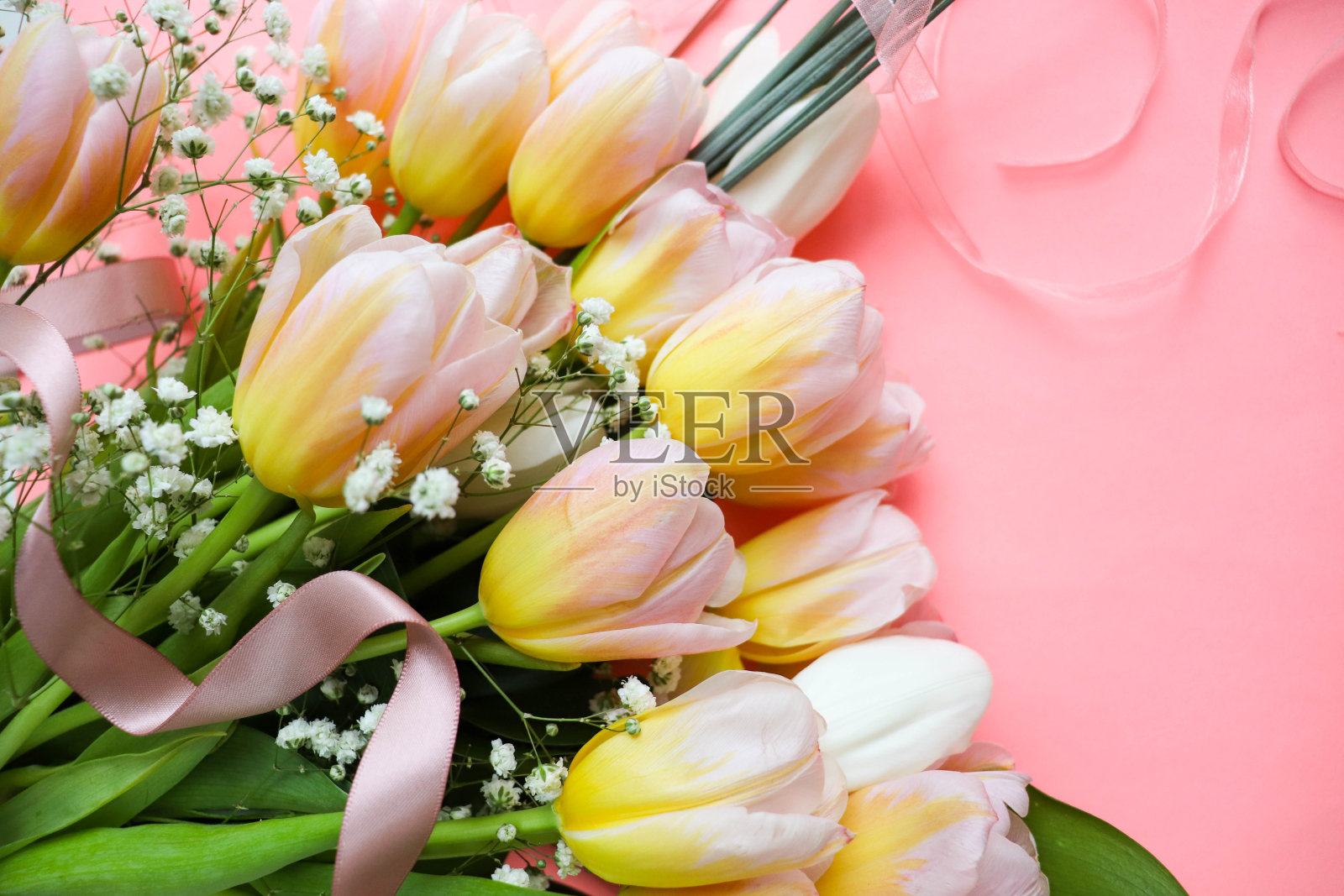 明信片的布局。粉红色背景和文字空间上的春天郁金香花束照片摄影图片