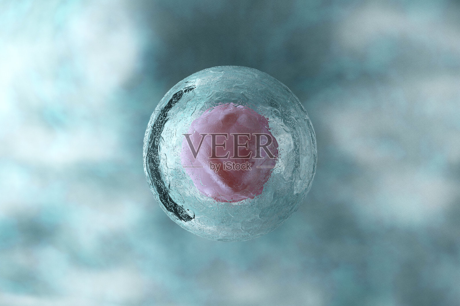 彩色背景下的人类细胞照片摄影图片