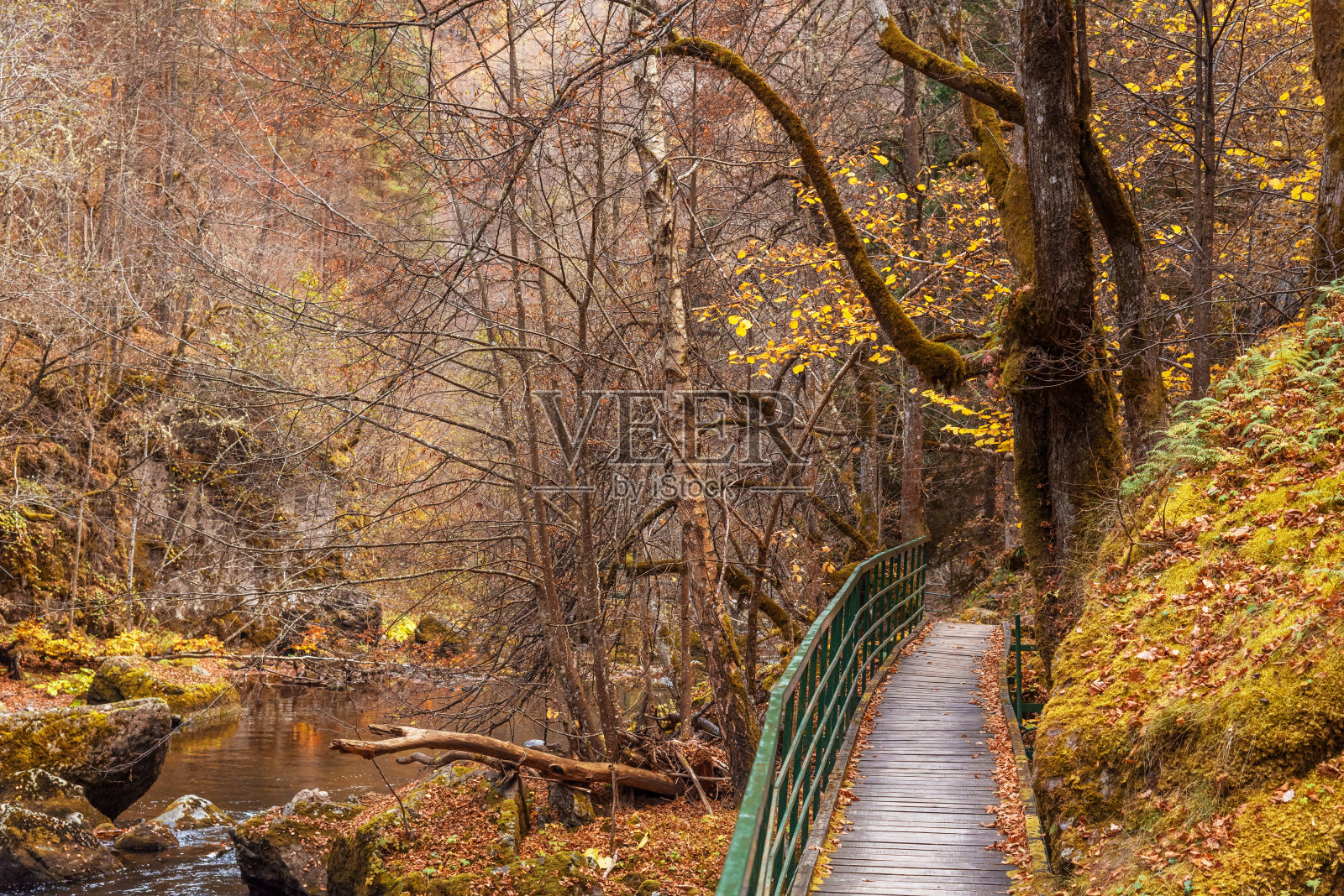 保加利亚德文斯卡河峡谷徒步旅行者的桥。照片摄影图片