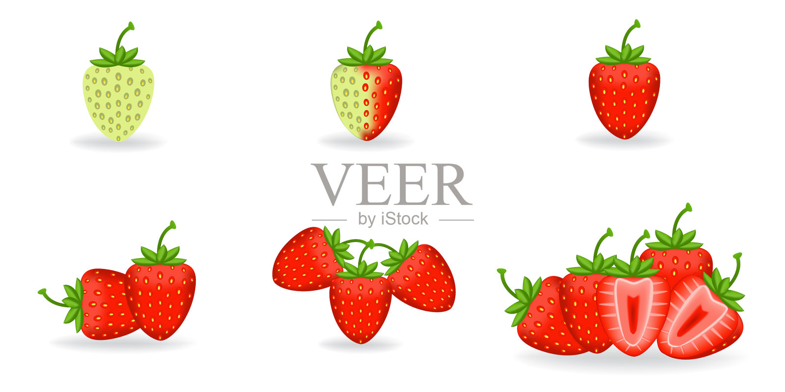 逼真的新鲜草莓叶子插画图片素材