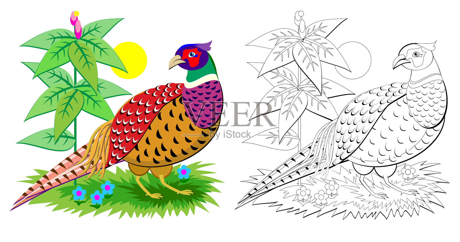 幻想可爱的雉鸡与明亮的羽毛插画图片素材