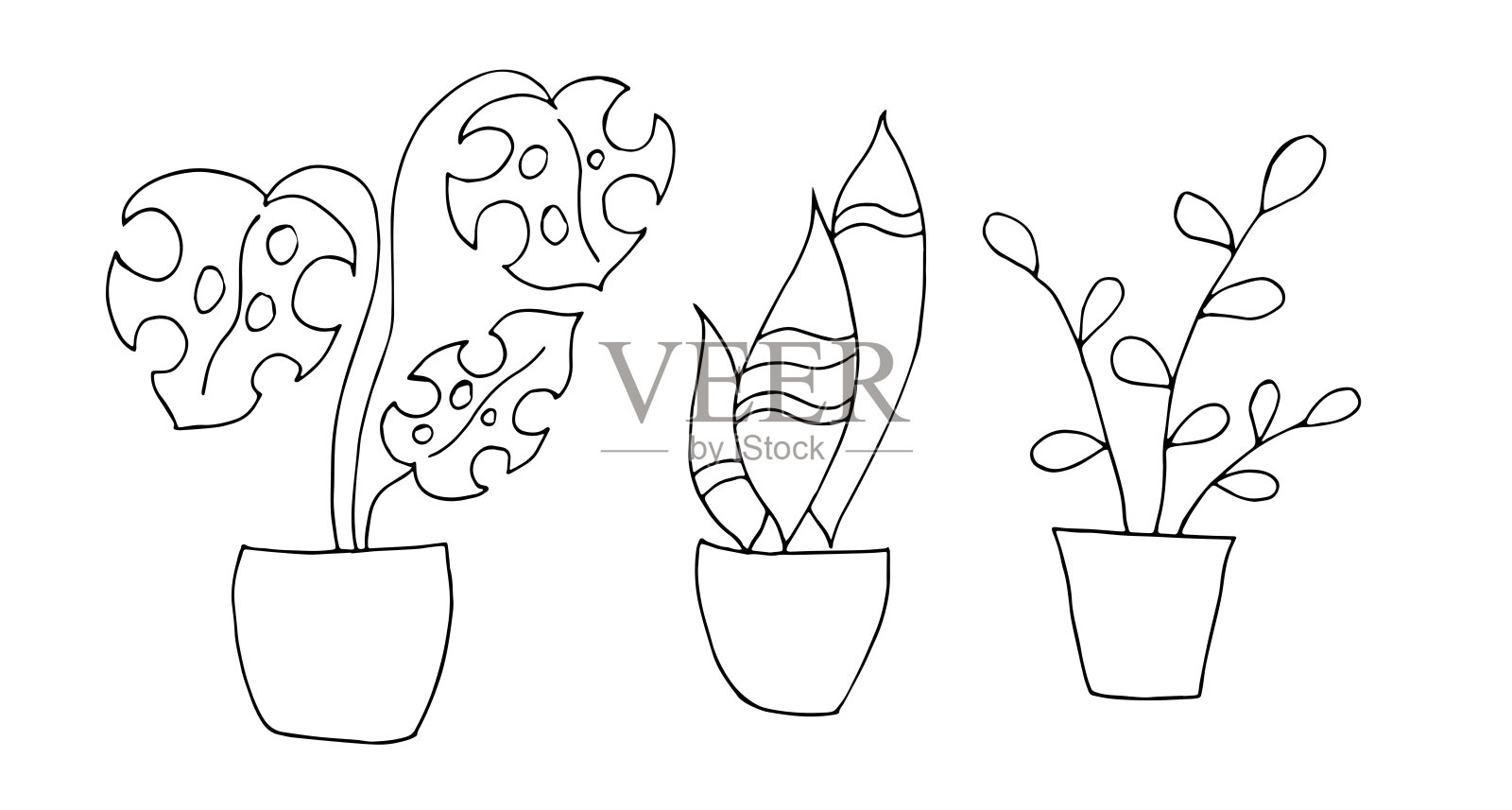 室内盆花。线性图。矢量插图。插画图片素材