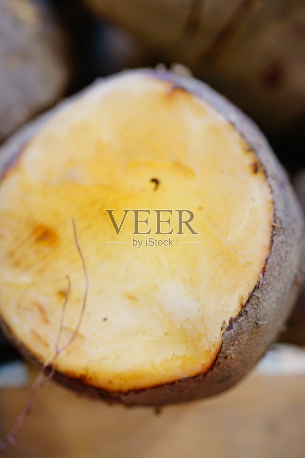 小叶松叶照片摄影图片