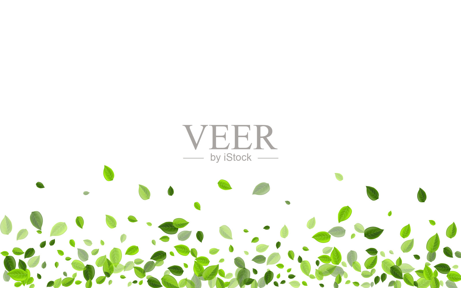 绿草抽象的旗帜飞叶插画图片素材