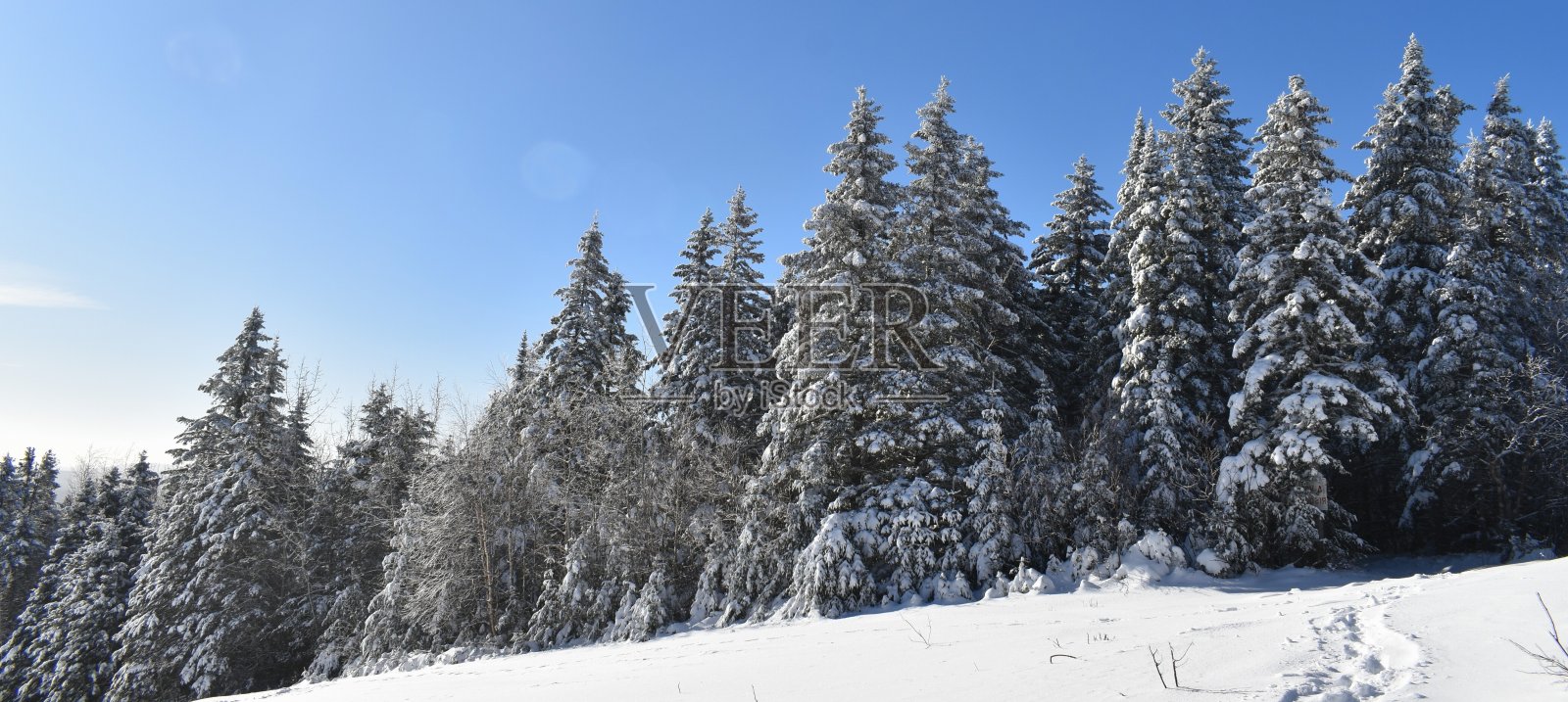 冬天照片摄影图片