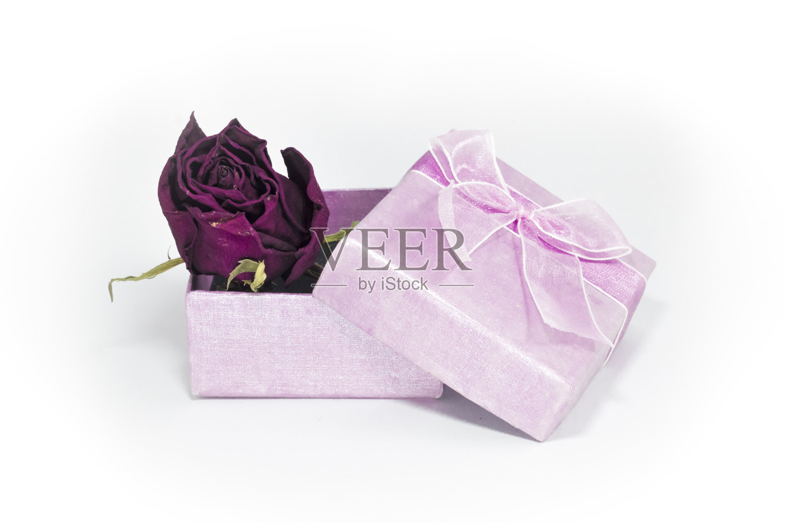 干玫瑰在礼盒孤立的白色背景。照片摄影图片