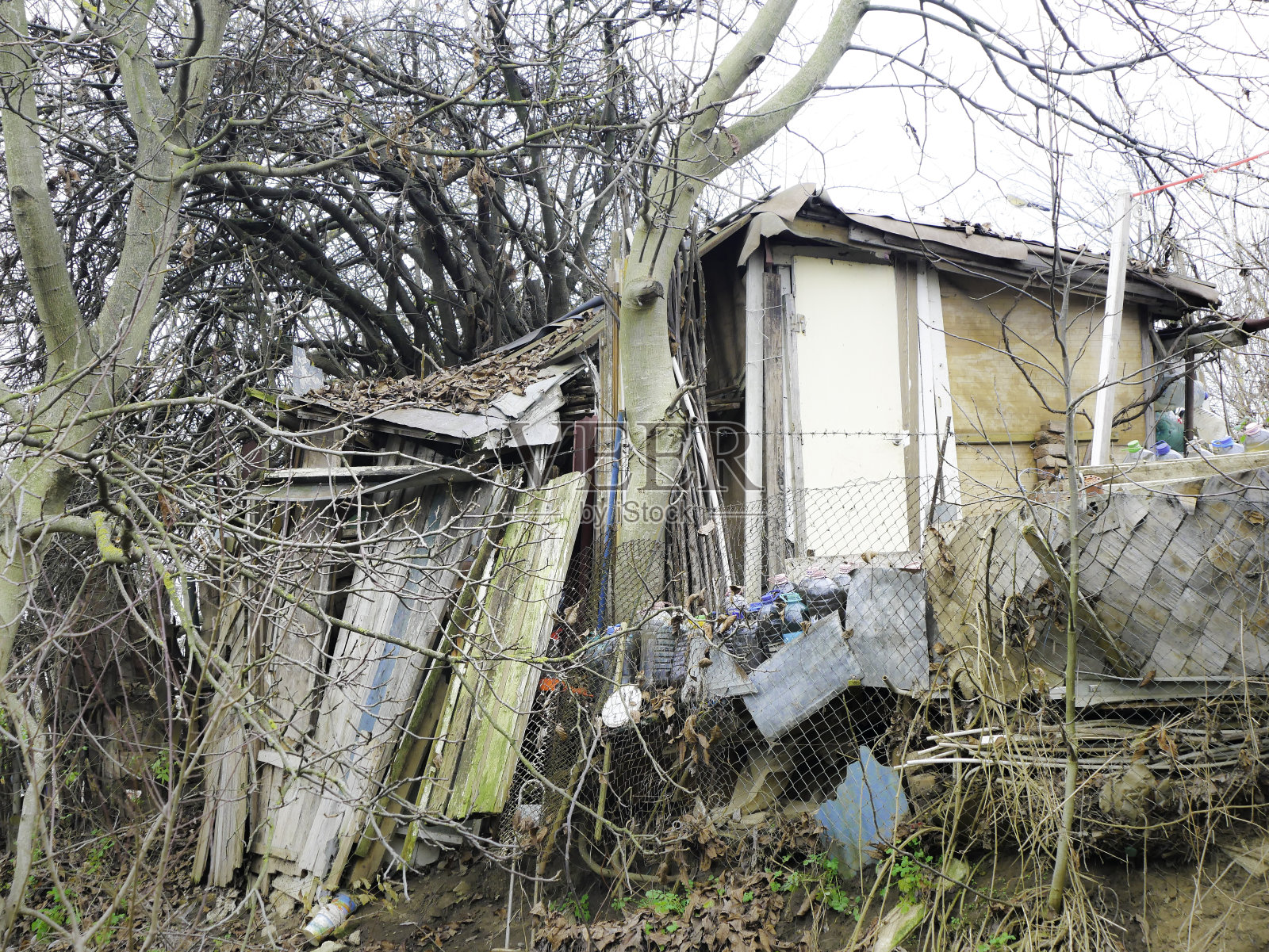 树林里的废弃房子照片摄影图片