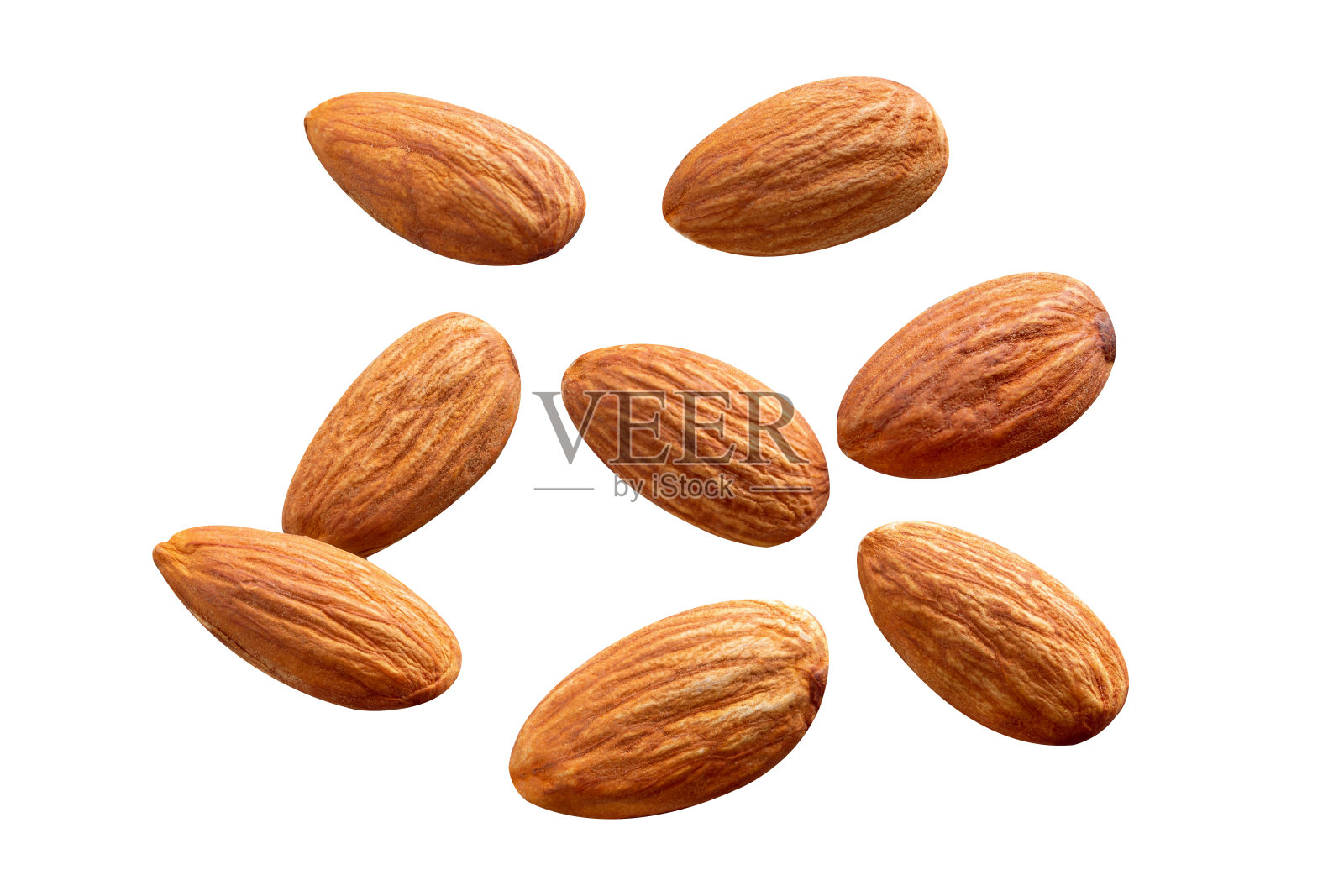 白色背景上的杏仁照片摄影图片