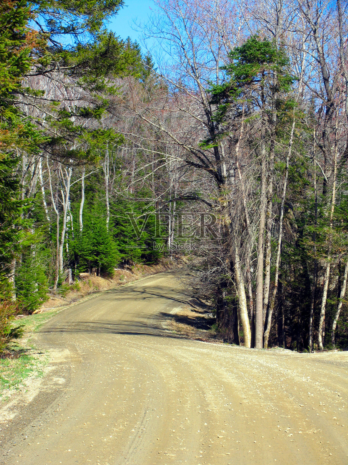 路进入远方的森林照片摄影图片