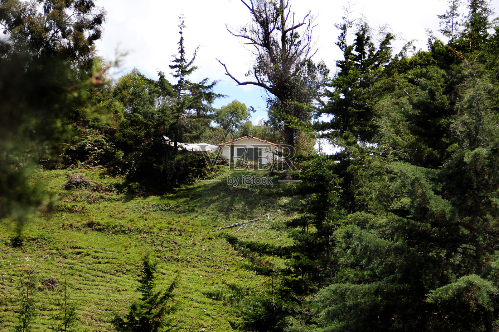 在anti-Ooqueños路上。照片摄影图片