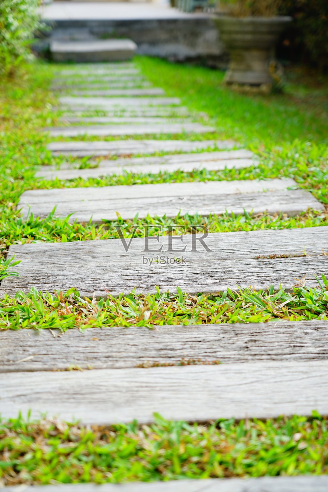 绿草如茵的花园里水泥石小路照片摄影图片