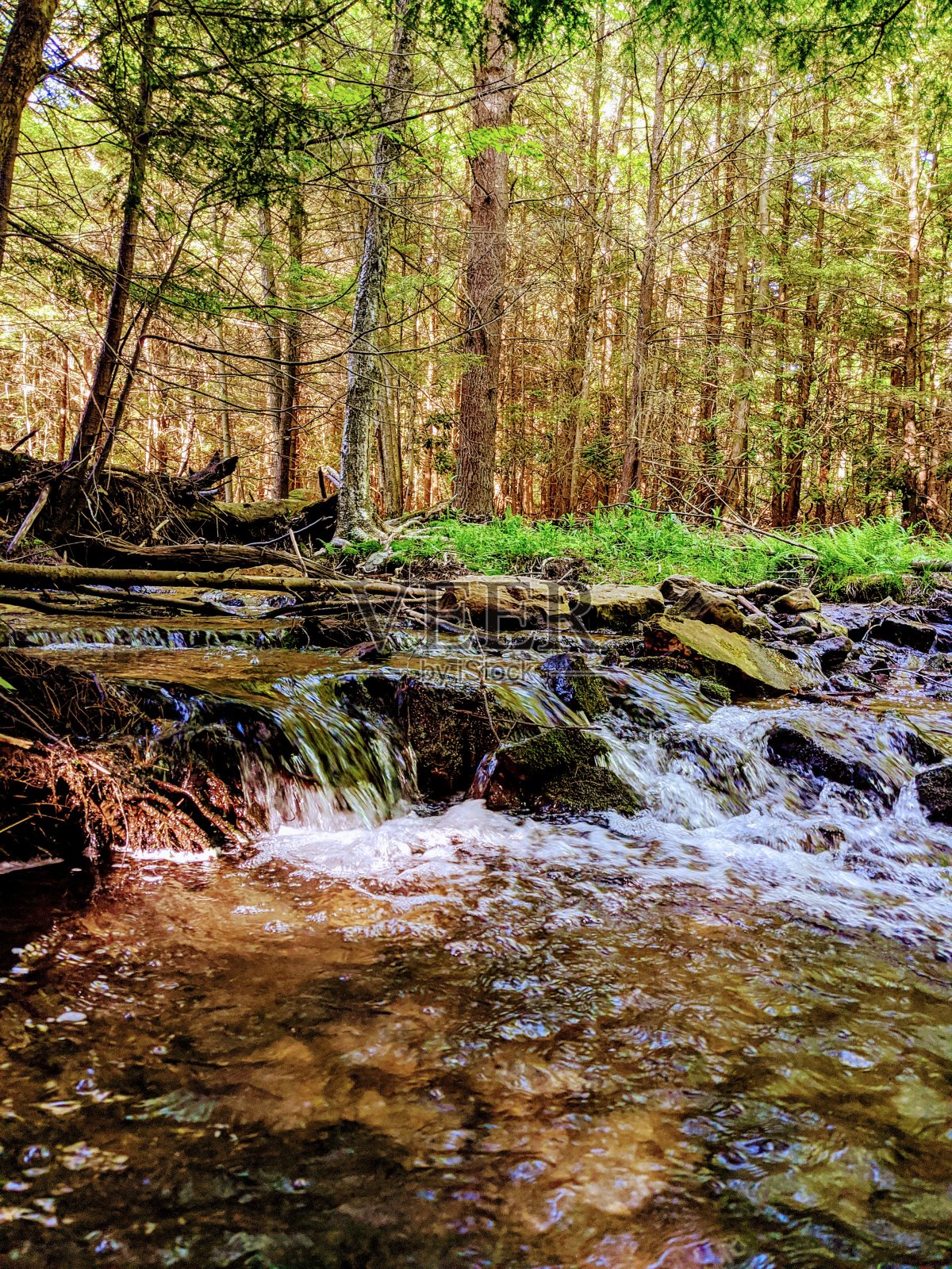 自然照片摄影图片