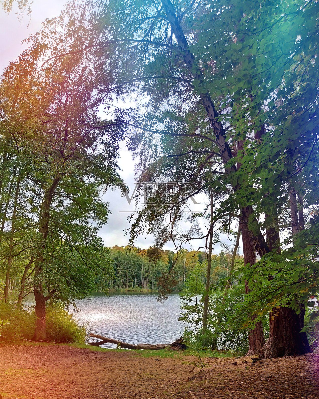 瓦尔德湖照片摄影图片