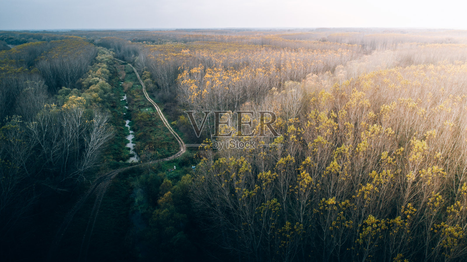 被草、树和小溪环绕的田野照片摄影图片