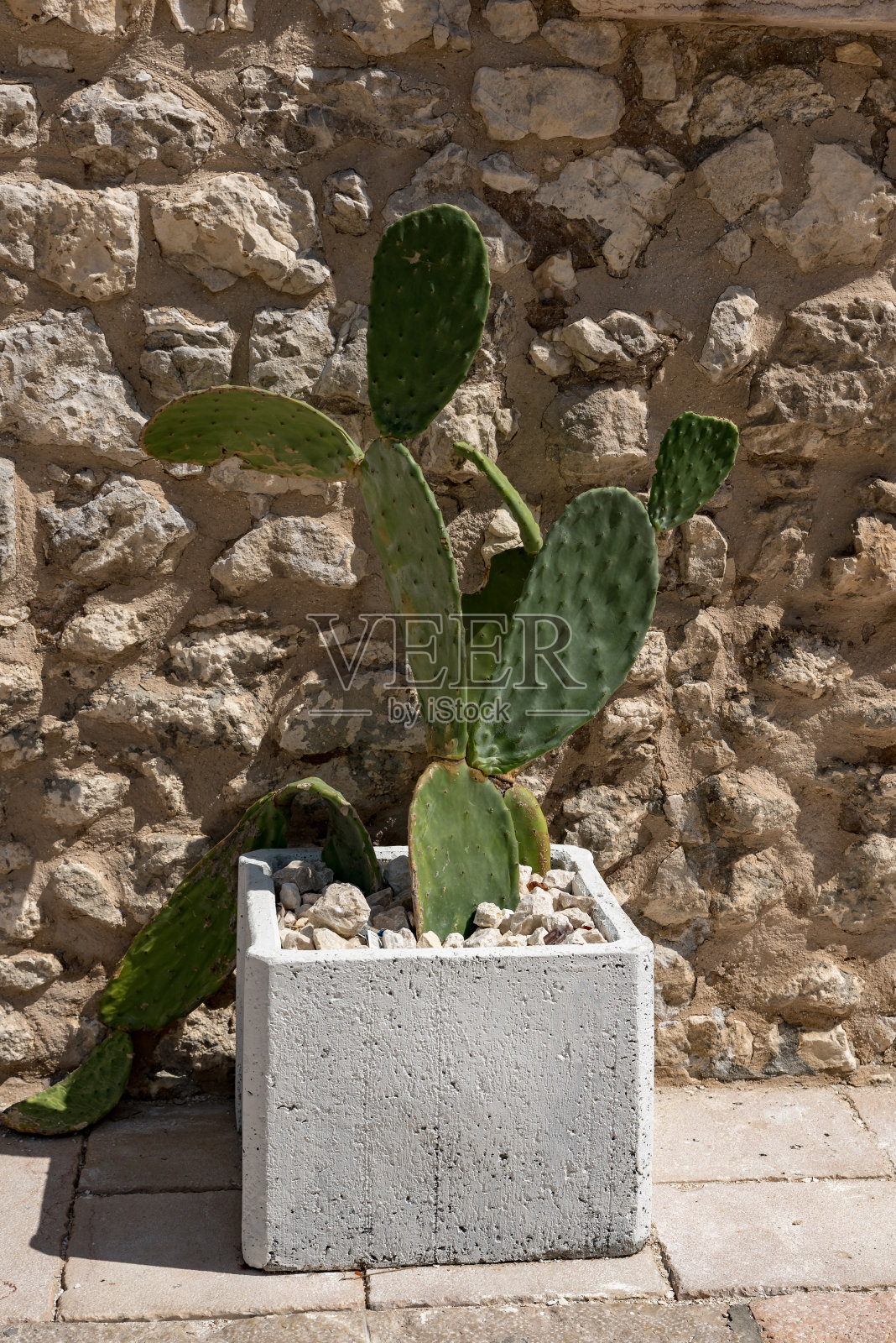 Vieste Puglia海和镇照片摄影图片