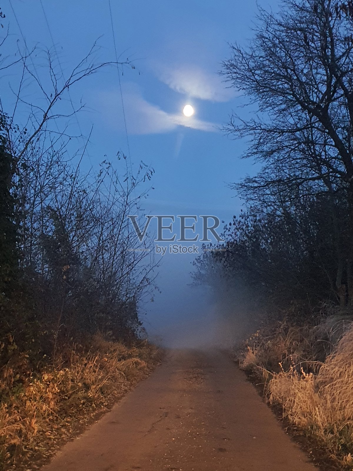 寂寞的路和月亮照片摄影图片