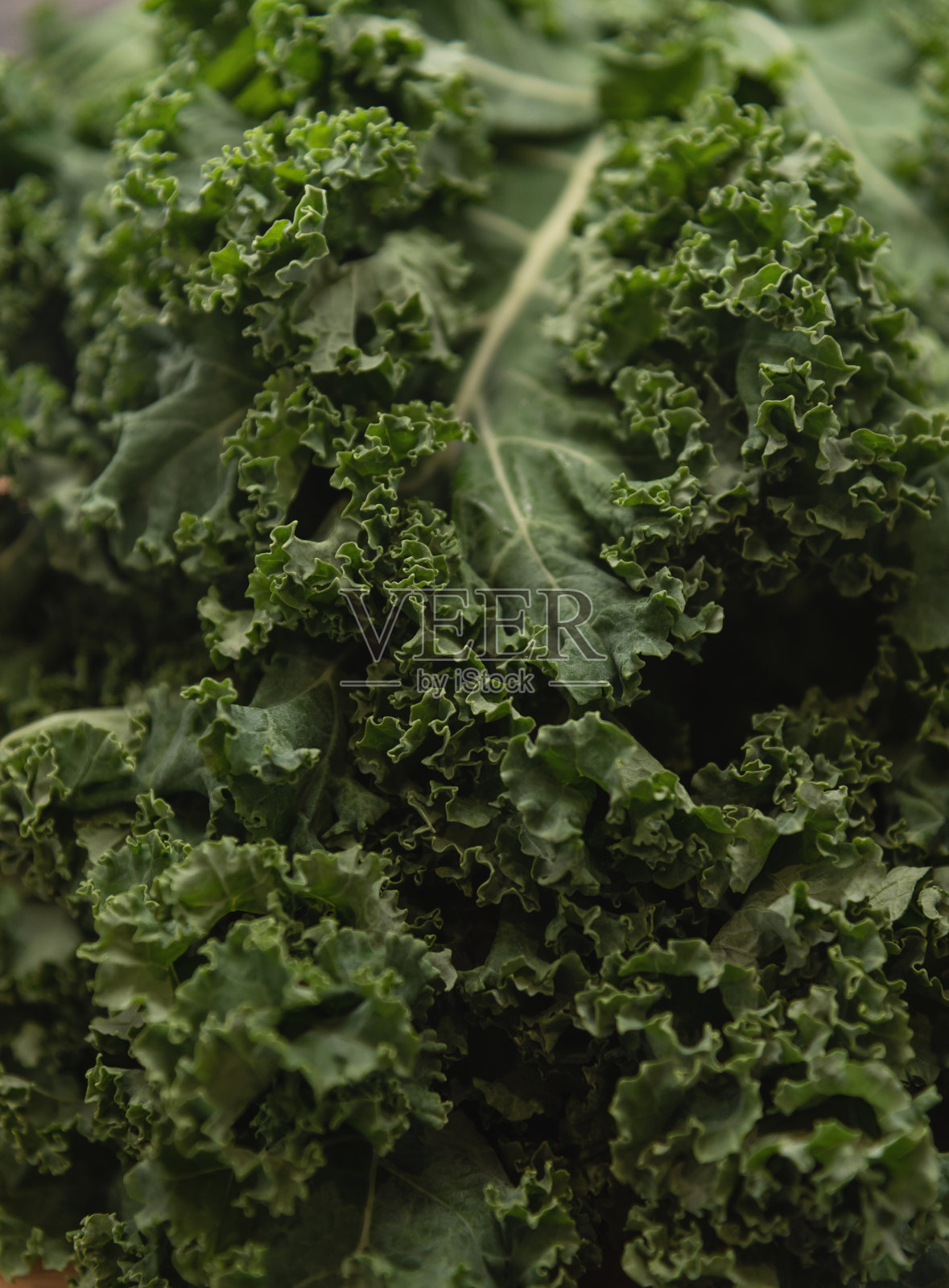 有机卷叶甘蓝或叶卷心菜。照片摄影图片